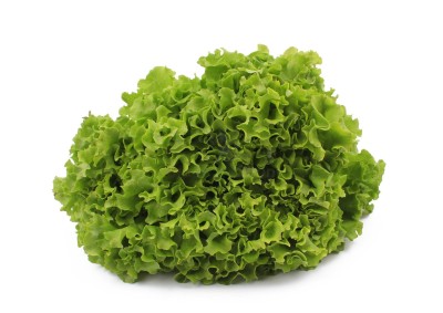 Салат романо 1 кг - купить в Хосрехе